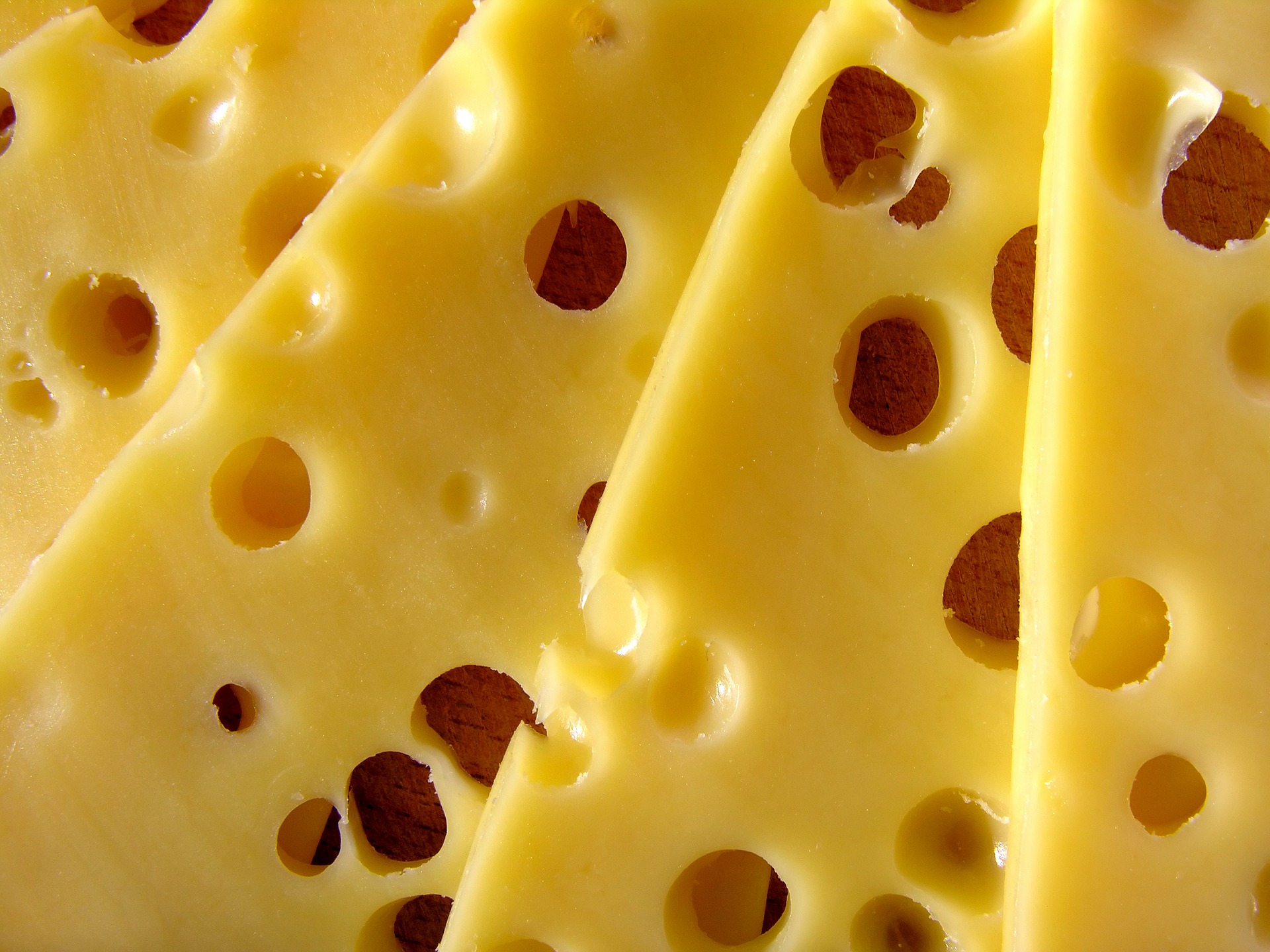 スイス チーズ モデル