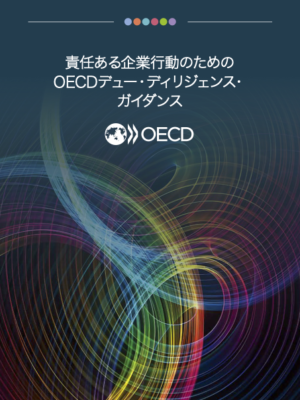 外務省「OECD「責任ある企業行動のためのデュー・ディリジェンス・ガイダンス」（日本語版)」